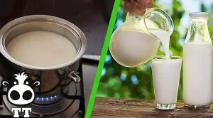 Cách Nấu Sữa Bò Tươi Thơm Ngon Tại Nhà