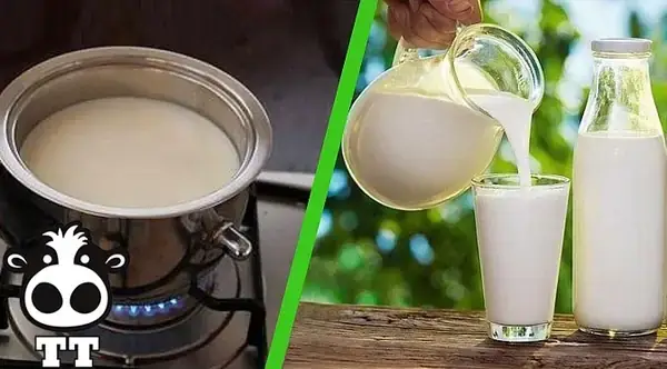 Cách Nấu Sữa Bò Tươi Thơm Ngon Tại Nhà