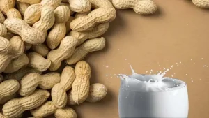 Cách Nấu Sữa Đậu Phộng Bằng Máy Ranbem