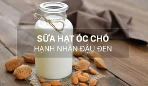Cách Nấu Sữa Hạnh Nhân Óc Chó Đậu Đen