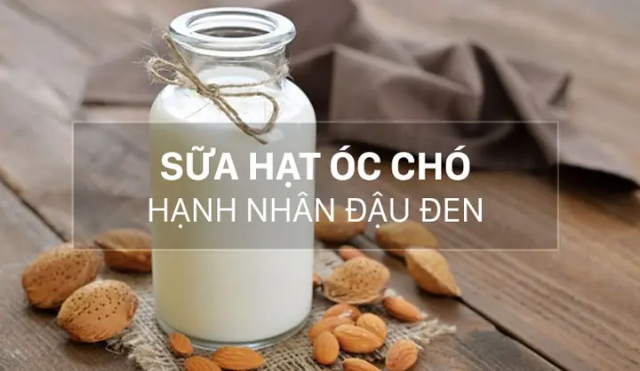Cách Nấu Sữa Hạnh Nhân Óc Chó Đậu Đen