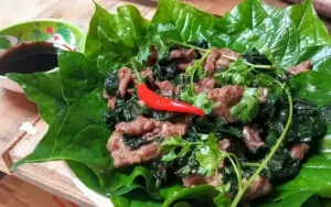 Cách Nấu Thịt Bê Ngon Nhất: Bí Quyết Từ A Đến Z