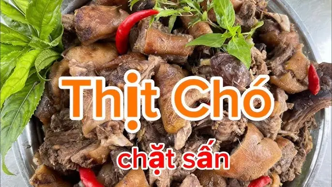 Cách Nấu Thịt Chó Chặt Sấn Chuẩn Vị: Hướng Dẫn Chi Tiết Từ A-z