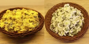 Cách Nấu Trà Hoa Cúc Thơm Ngon: Hướng Dẫn Chi Tiết Từ A Đến Z