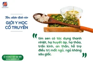 Hướng Dẫn Chi Tiết Cách Nấu Trà Tim Sen Tươi Thơm Ngon, Giữ Trọn Dược Tính