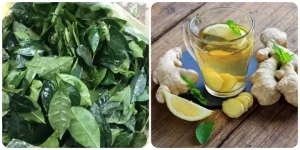 Cách Nấu Trà Xanh Gừng Chuẩn Vị Tại Nhà