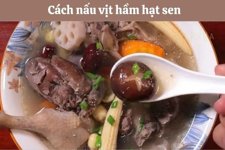 Cách Nấu Vịt Hầm Hạt Sen Chuẩn Vị: Hướng Dẫn Từ A Đến Z Cách Nấu Vịt Hầm Hạt Sen Chuẩn Vị: Hướng Dẫn Từ A Đến Z