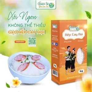 Cách Nấu Xôi Nếp Lào Bằng Nồi Cơm Điện Chuẩn Vị, Dẻo Thơm