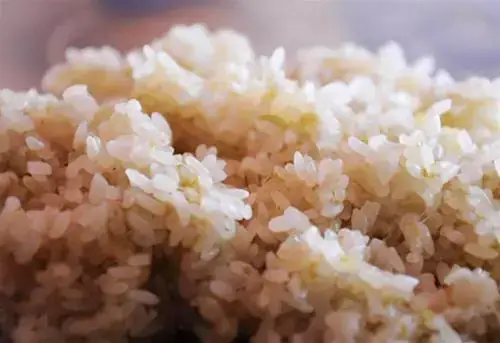 Cách Nấu Xôi Nếp Non Chuẩn Vị: Hướng Dẫn Từ A Đến Z