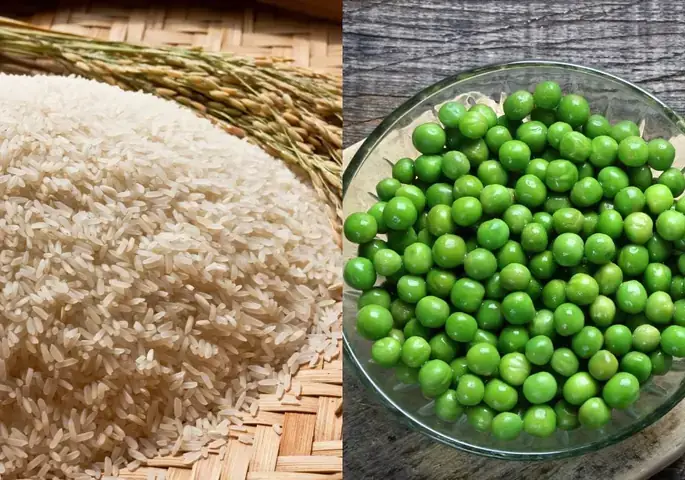 Cách Nấu Xôi Đậu Hà Lan Chuẩn Vị: Hướng Dẫn Từ A Đến Z