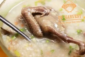 Cách Nấu Cháo Yến Mạch Tăng Cân: 4 Công Thức Dinh Dưỡng Hiệu Quả