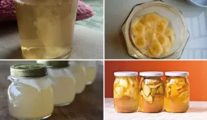 Cách Nuôi Con Giấm Bằng Nước Dừa Tại Nhà: Hướng Dẫn Toàn Tập