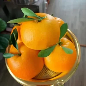 Cách Tạo Hình Bánh Bao Quả Cam Chuẩn Chỉnh Từ A Đến Z