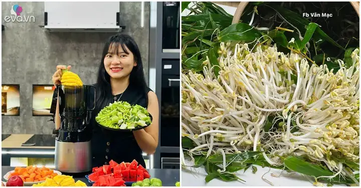 Hướng Dẫn Chi Tiết Cách Ủ Giá Đỗ Bằng Lá Tre Tại Nhà