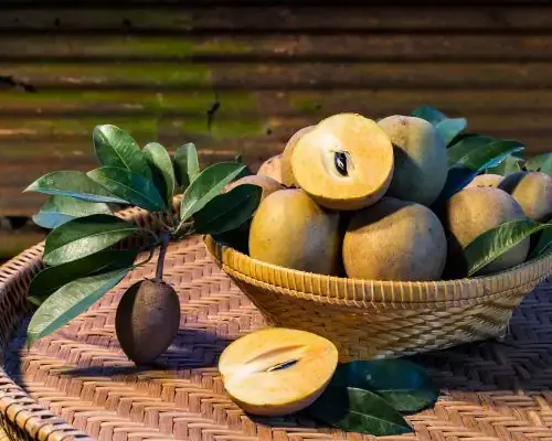 Cách Ủ Hồng Trứng Nhanh Chín