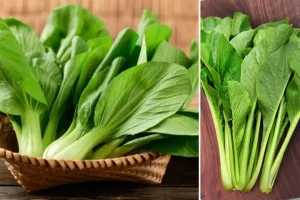 Cách Nhặt Rau Cải Thìa Và Rau Cải Ngọt Chuẩn Chỉnh: Bí Quyết Từ A Đến Z