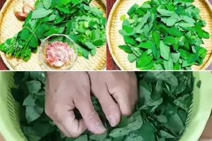 Canh Rau Ngót Cho Bà Bầu: Công Thức Và Lưu Ý An Toàn Từ Chuyên Gia