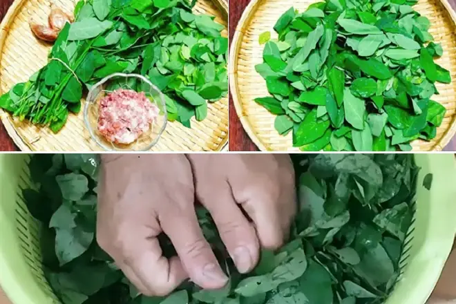 Canh Rau Ngót Cho Bà Bầu: Công Thức Và Lưu Ý An Toàn Từ Chuyên Gia