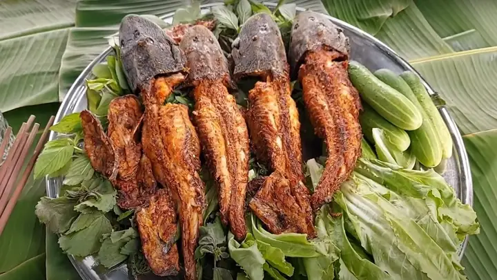 Chế Biến Cá Lau Kiếng