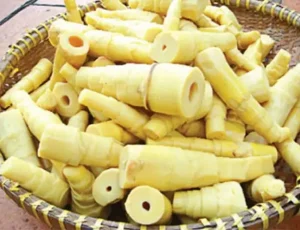 Chế Biến Măng Tre Tươi