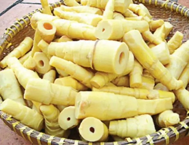 Chế Biến Măng Tre Tươi