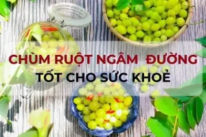 Cách Làm Chùm Ruột Ngâm Đường Phèn Chuẩn Vị, Bổ Dưỡng Từ A-z