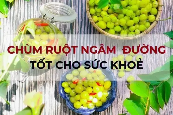 Cách Làm Chùm Ruột Ngâm Đường Phèn Chuẩn Vị, Bổ Dưỡng Từ A-z