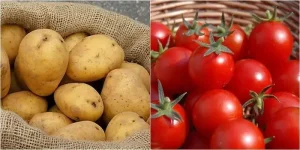 Khoai Tây Và Cà Chua: Có Thực Sự Nên Kết Hợp Trong Một Món Ăn?