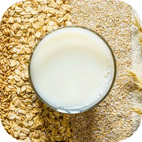 Công Dụng Của Hào Sữa: 12 Lợi Ích Sức Khỏe Được Khoa Học Chứng Minh