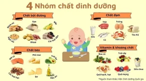 Công Thức Các Món Ăn Dặm Cho Bé