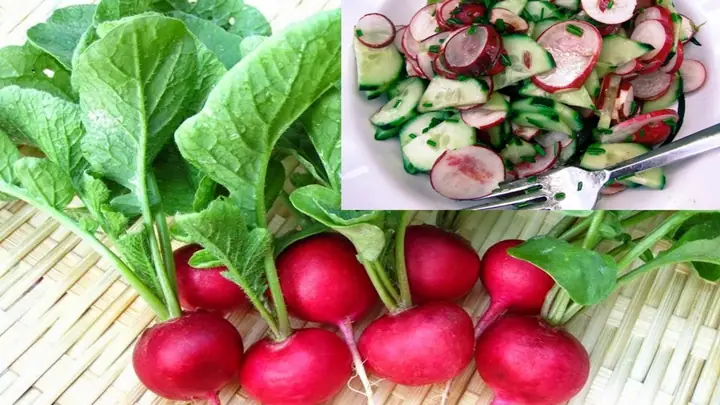 Cách Chế Biến Củ Cải Đỏ Đơn Giản, Đậm Đà
