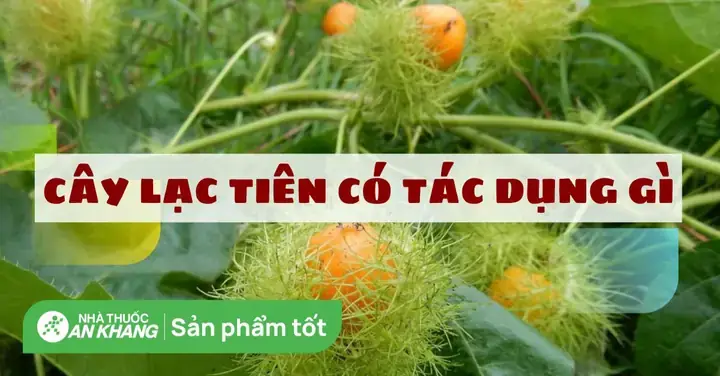 Cách Làm Củ Lạc Tiên Ngâm Đường Phèn Chuẩn Dân Gian