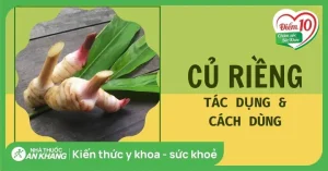 Củ Riềng Và Lá Lốt