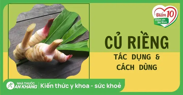 Củ Riềng Và Lá Lốt