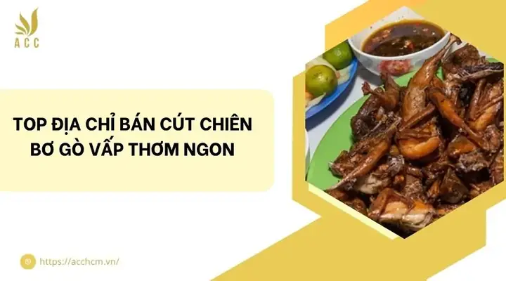 Top 5 Quán Cút Chiên Bơ Gò Vấp Đáng Thử Nhất: Đánh Giá Chi Tiết Từ A Đến Z