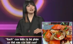 Gạch Cua Có Phải Trứng Không? Giải Đáp Chi Tiết Từ Chuyên Gia