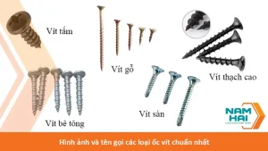 Các Loại Ốc Ăn Được Phổ Biến Và Cách Chế Biến