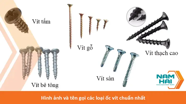 Các Loại Ốc Ăn Được Phổ Biến Và Cách Chế Biến