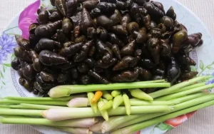 Hình Ảnh Ốc Xào Sả Ớt