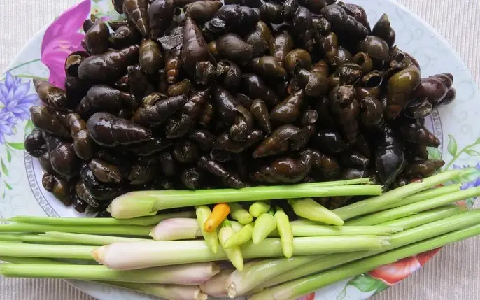 Hình Ảnh Ốc Xào Sả Ớt