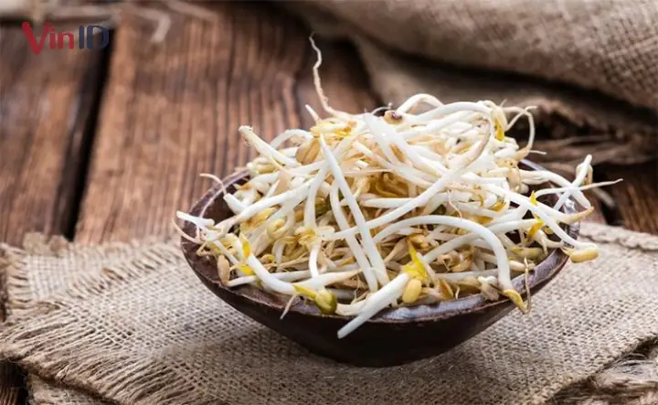 Hướng Dẫn Toàn Tập Cách Nấu Canh Giá Đỗ: Từ Kỹ Thuật Cơ Bản Đến 5 Công Thức Đặc Sắc