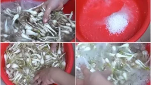 Cách Làm Kiệu Muối Chua Ngọt Không Cần Giấm: Giòn Sật, Chua Ngọt Hoàn Hảo