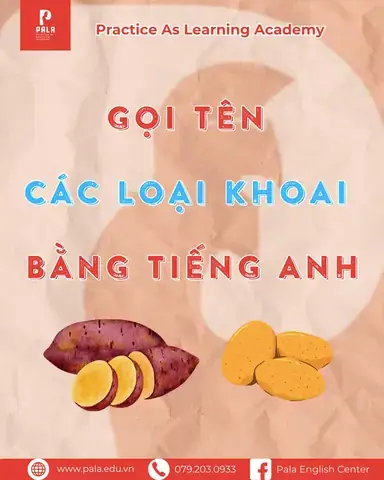 Khoai Sọ Trong Tiếng Anh