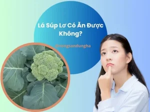 Lá Súp Lơ Có Ăn Được Không? Bí Quyết Tận Dụng Phần Rau "bỏ Phí"
