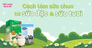 Hướng Dẫn Chi Tiết Cách Làm Sữa Chua Từ Sữa Tươi Và Sữa Đặc Tại Nhà