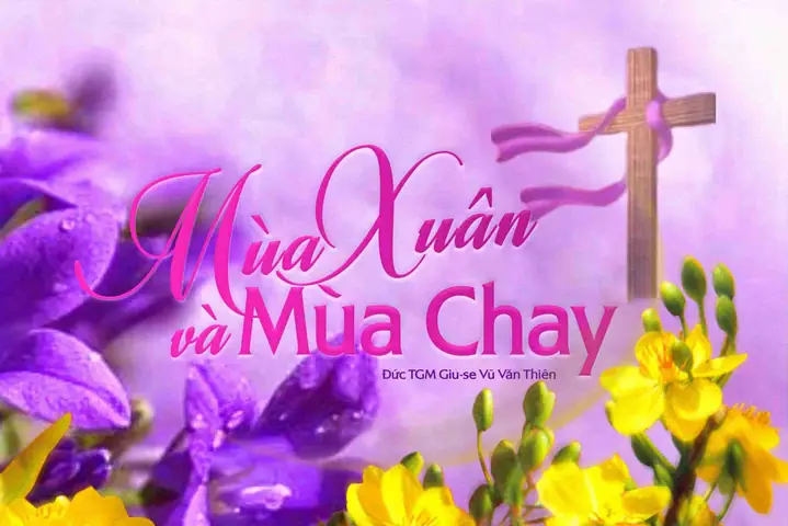 Mam Chung Chay Xuan Hong