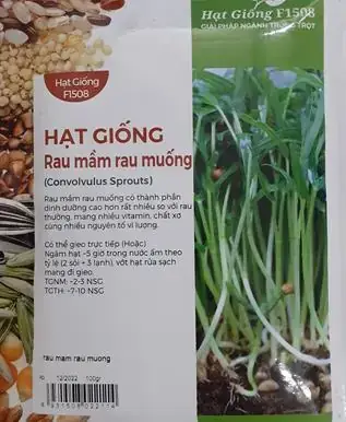 Mầm Rau Muống Mua Ở Đâu