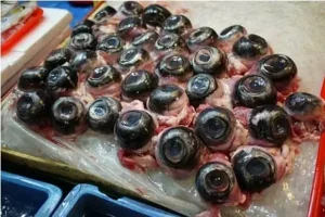 Top 15 Món Ăn Lạ Trên Thế Giới Độc Nhất Vô Nhị