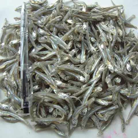 Cách Làm Cá Duội Khô Sốt Chua Ngọt Chuẩn Vị, Giòn Thơm Đậm Đà Cách Làm Cá Duội Khô Sốt Chua Ngọt Chuẩn Vị, Giòn Thơm Đậm Đà
