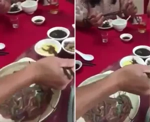 Món Đỉa Xào Trung Quốc